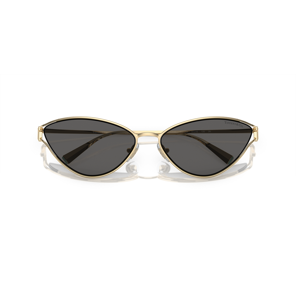 Occhiale da sole Tiffany & co. 3095 col. 6021S4