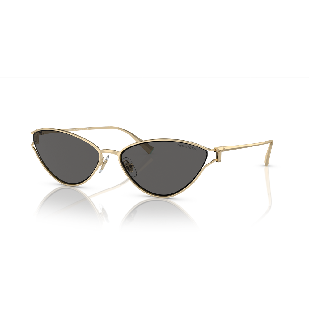 Occhiale da sole Tiffany & co. 3095 col. 6021S4