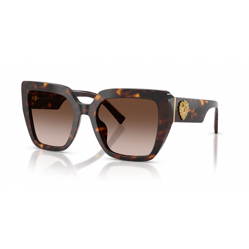 Dolce & Gabbana sunglasses 4538 col. 502