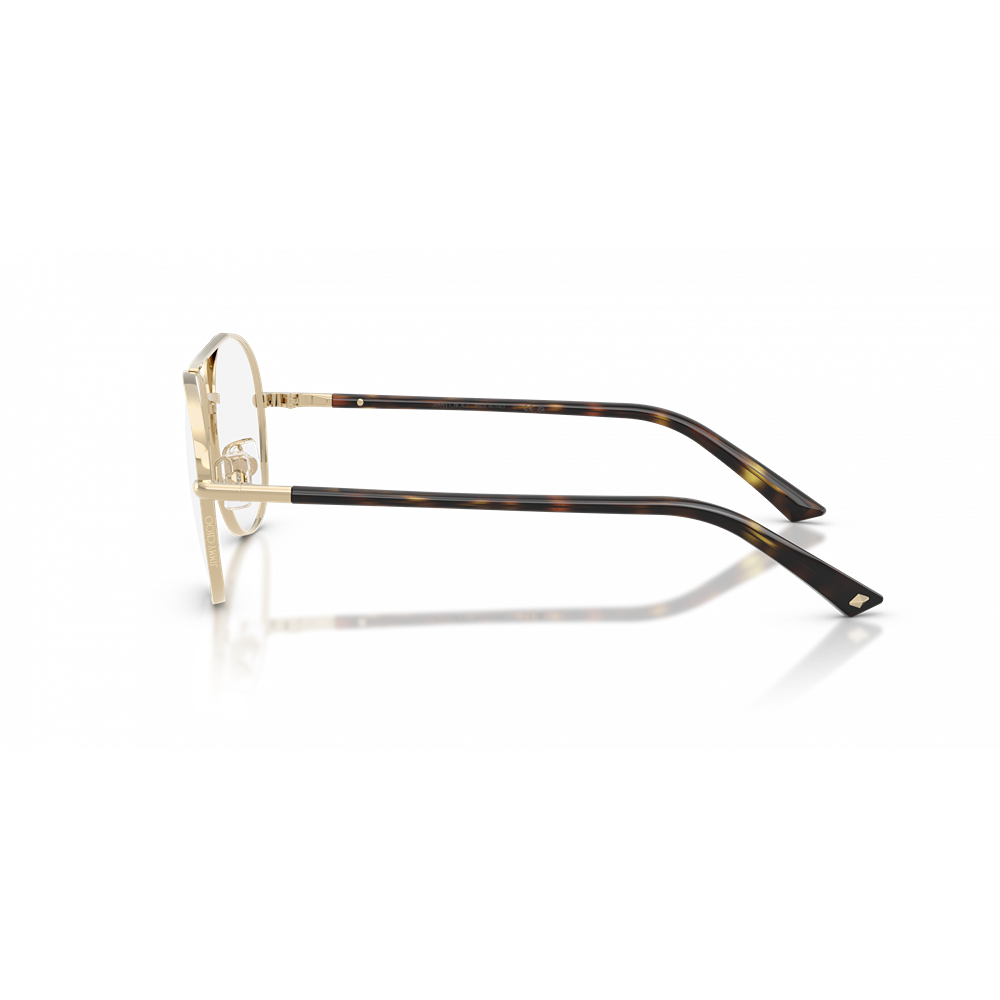 Jimmy Choo eyeglasses 2021 col. 3017
