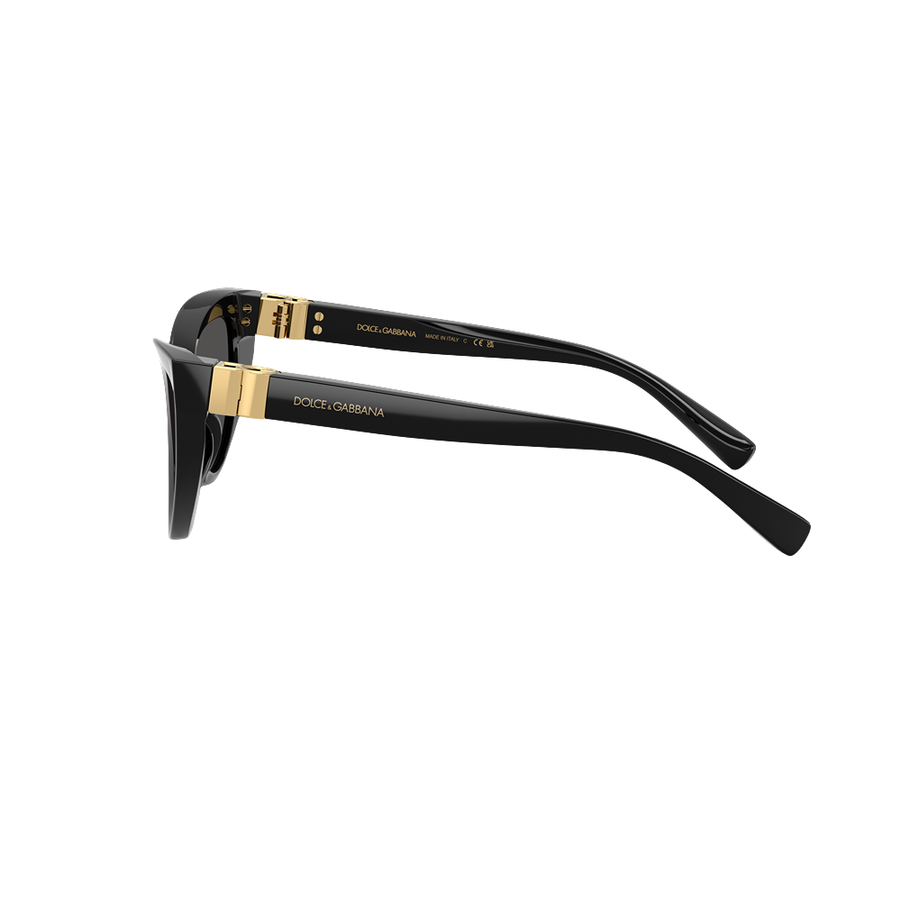 Occhiale da sole Dolce & Gabbana 4497 col. 501/87