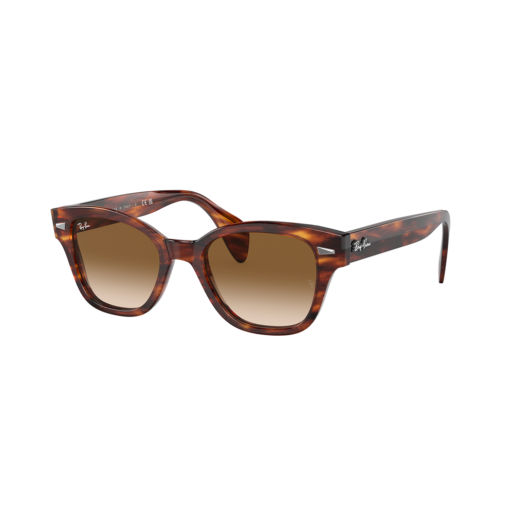 Occhiale da sole Ray-Ban RB0880S col. 954/51