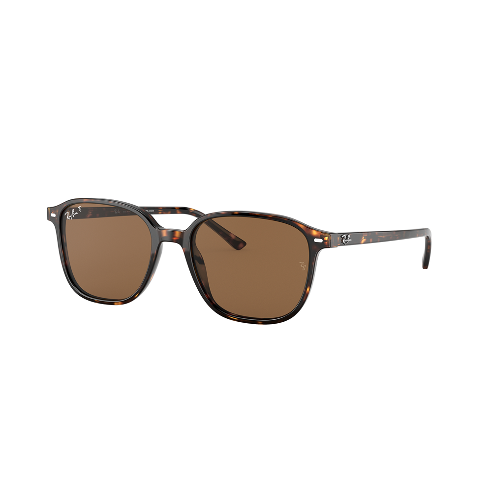 Occhiale da sole Ray-Ban Leonard RB2193 col. 902/57