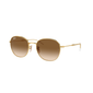 Occhiale da sole Ray-Ban RB3809 col. 001/51