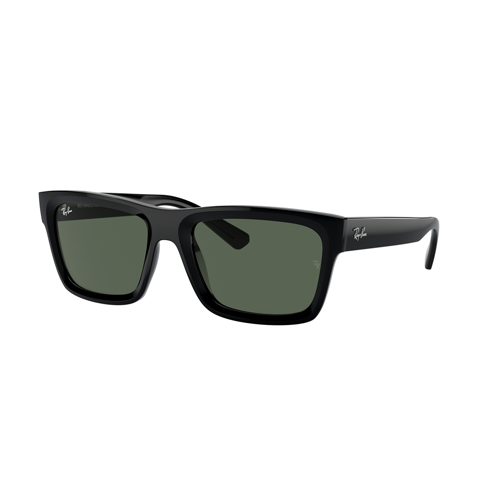 Occhiale da sole Ray-Ban Warren RB4396 col. 667771