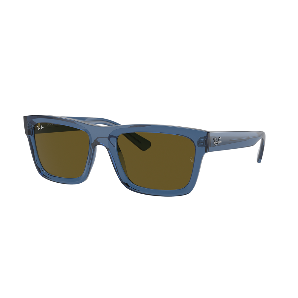 Occhiale da sole Ray-Ban Warren RB4396 col. 668073