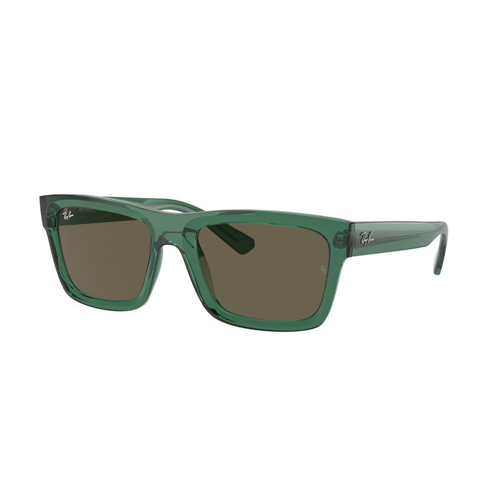 Occhiale da sole Ray-Ban Warren RB4396 col. 6681/3