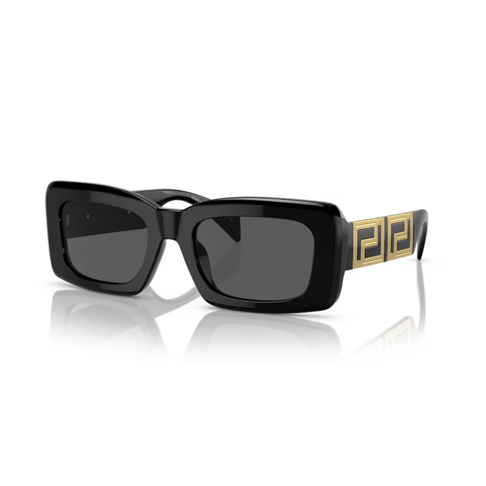 Versace sunglasses 4444U col. GB1/87