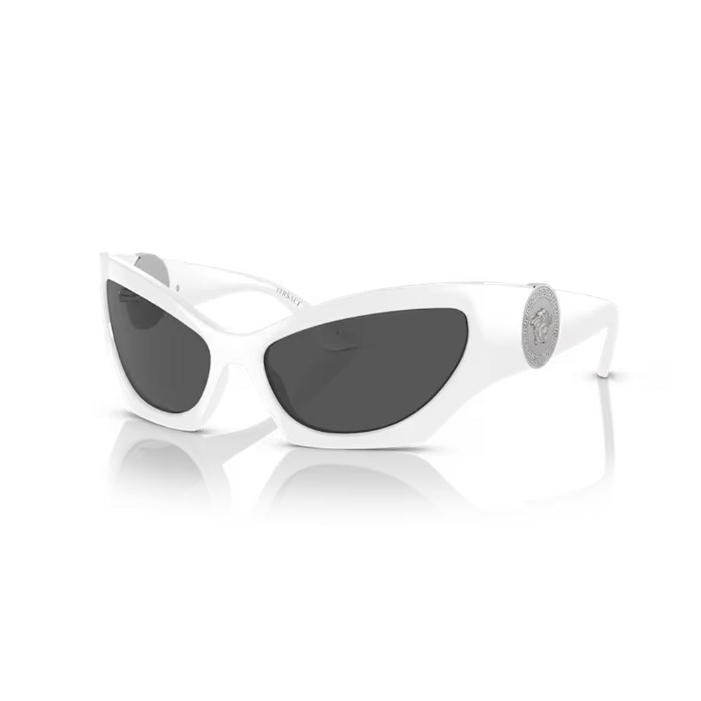 Versace sunglasses 4450 col. 314/87